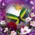 Luci Kuykendall's profile image
