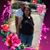 Jerry Dale House's profile image