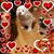 Sharon Snyder Fiske's profile image