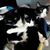 Donna David Messerman's profile image