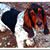 Mechelle Wiggins's profile image
