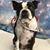 Jeanette Mizell's profile image