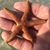 Robert Anderson's profile image