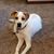 Ericka Sauvain's profile image