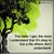 Mary Mostrom's profile image