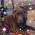 Leslie Harris Heath's profile image
