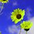 Gwynn Slavik's profile image
