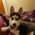 Holly DiClemente's profile image