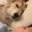 Brian Duncan's profile image