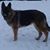 Kina Kelly's profile image