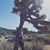Roxy Szal's profile image