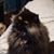 Amanda Weldon's profile image