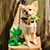 Rick Baudoin's profile image