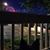 Shanti Roundtree's profile image