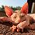Maria Berger's profile image