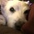 Debbie Foush Foushee's profile image