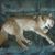 Phil Donahue's profile image