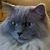 Steph Renee Jerkins Miller's profile image
