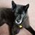 Terry Palsha's profile image