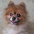 Ramon Barrientos's profile image