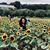 Amelia Pineda's profile image
