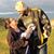 Jennifer Koback's profile image