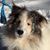Larry Gill's profile image
