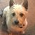 Tammy Henken Osborne's profile image