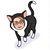 Julie Turvey's profile image