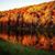 Angela Cuccia Schibler's profile image
