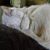 Patricia Fischer's profile image