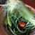 Deborah Deggs Cariker's profile image
