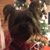Tammy Lynn's profile image