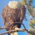 Kim Goldsberry's profile image