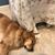 Tami Reeder's profile image
