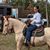 Elaine Dean's profile image