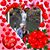 Annie Murphy's profile image