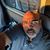 Dale Horton Sr.'s profile image