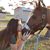 Kara Brookins's profile image