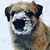 Curtis Taylor's profile image