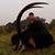 Sue Fowlks's profile image