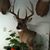 Doug LaCluyse's profile image