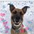 Sara Anderson's profile image