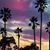 Shirley Anderson's profile image