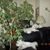 Beverly Crispin's profile image