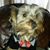 Gwendolyn Schwartz's profile image
