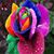 Michelle Miller's profile image