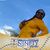 Montey Hill's profile image