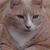 Barb Ramsdell's profile image