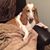 Sharan Stephenson's profile image